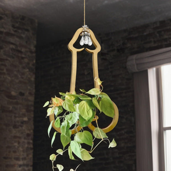 Generic Funny Flower Pots Plant Hanger, Mr. Morningwood, Versatile Plant Hanger & Pot,