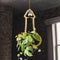 Generic Funny Flower Pots Plant Hanger, Mr. Morningwood, Versatile Plant Hanger & Pot,
