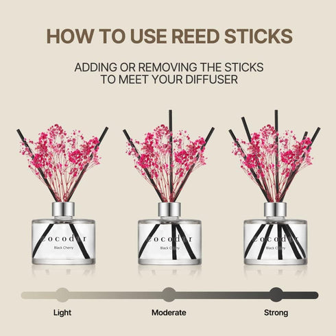 COCODOR 2 Pack Preserved Real Flower Reed Diffuser Set, 6.7oz (200ml) Rose Perfume, Oil Diffuser & Sticks