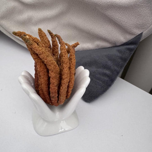 ourhommie Air Plant Holder Cute Ceramic Mini Hand Shape Stand Airplants Tillandsia Small Container Pot Plant Decorative