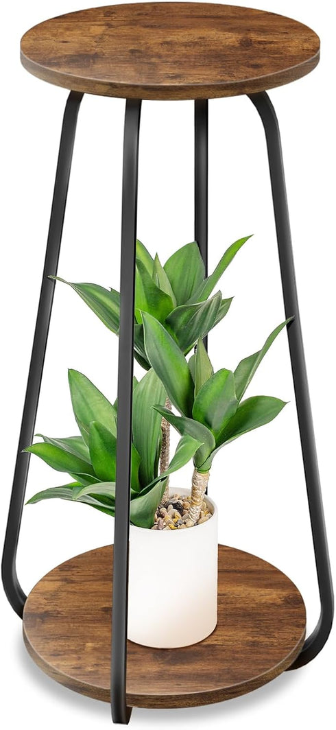 Plant Stand Indoor, 2 Tier Plant Shelf Pedestal Stand Flower Stand, Metal