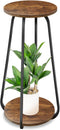 Plant Stand Indoor, 2 Tier Plant Shelf Pedestal Stand Flower Stand, Metal