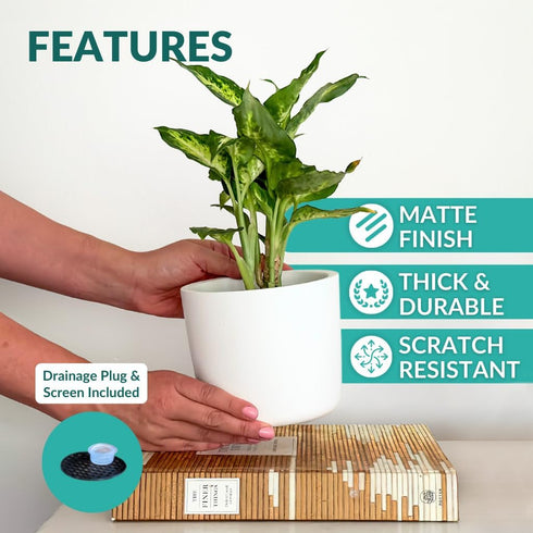 Willowy 6 Inch White Ceramic Plant Pot (Matte) - Planter for Indoor Plants with Drainage, White Pots
