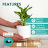 Willowy 6 Inch White Ceramic Plant Pot (Matte) - Planter for Indoor Plants with Drainage, White Pots