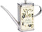 Fox Run Stainless Steel Olive Oil Dispenser With No Drip Spout, 16