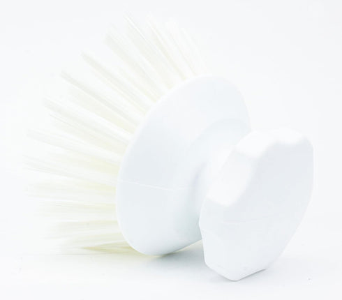 SPARTA 42395EC02 Plastic Scrubber Brush, Round Dish Scrub Brush for Kitchen and Bathroom Cleaning