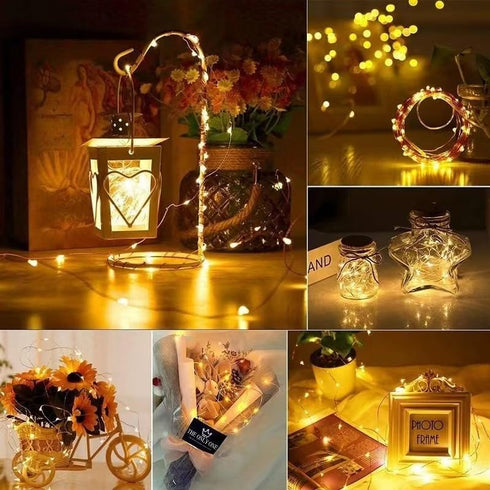 Microwear 33Ft Powered,8 100 10M Photo Clip String Lights,USB or Battery Modes LED Hanging String Fairy Lights