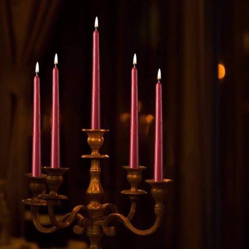 14 Pack Dark Red Taper Candles, 12 Inch Tall 3/4 Inch Thick, Burn 10 Hours (Burgundy)