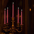 14 Pack Dark Red Taper Candles, 12 Inch Tall 3/4 Inch Thick, Burn 10 Hours (Burgundy)