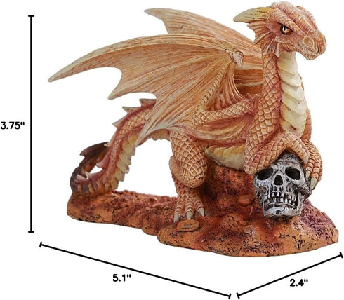 Pacific Giftware Anne Stokes Age of Dragons - Desert Dragon Wyrmling on Skull Head Rock Home Tabletop Decorative Resin