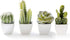 Artificial Mini Succulent & Cactus Plants, Set of 4 in White Cube-Shaped Pots for Home Decor