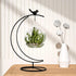 YY YEARCHY Ornament Display Stand, Metal Stand for Terrarium Air Plant, Iron Pothook for Hanging Glass Globe
