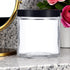 16 oz Large Clear Thick Glass Jar with Black Foam Lined Lid, 4 Pack