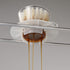 Kalita Glass Dripper WDG-155 05066, Clear Design