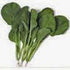 25+ Mustard Greens Seed, Tendergreen, Heirloom, Non GMO, Seeds, Green