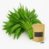 Loseedsoo 0.5 300+ Kong Xin CAI Seeds, Ounce Green Leaf Vegetable Seeds for Planting Non-GMO Choy Ong Seeds