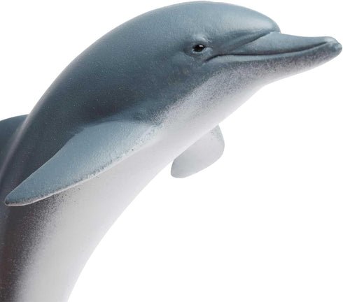 4.5" 3+ Safari Ltd Dolphin Figurine - Lifelike Model Figure - Educational Toy for Boys, Girls, and Kids Ages