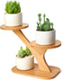XXXFLOWER Wood Plant Stand for Indoor,Small Desktop Plant Stand,3 Tier Succulent Windowsill