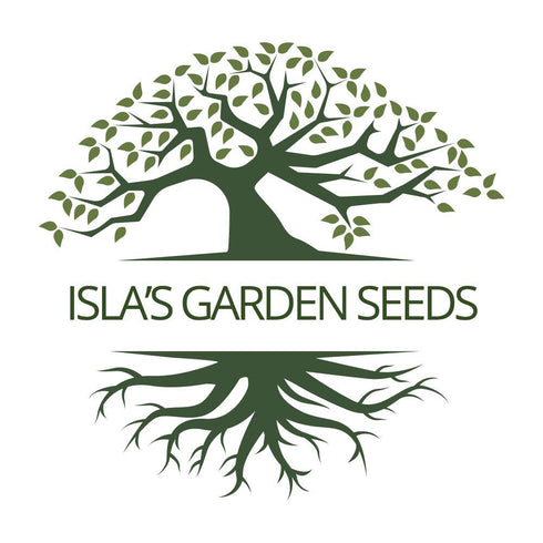 40+ Packet, Rainbow Bean Mix Sprouting Seeds, Adzuki, Garbanzo, Green Pea, & Lentil, Heirloom Seeds in Mixture Per Non