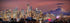 PHOTOSBYJON Seattle Skyline 2020 UNFRAMED Photo Print, Dusk Color City Downtown, 11.75 x 36 inches