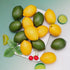 12pcs Gresorth Yellow & Green Artificial Lifelike Simulation Lemon Fake Fruit Home Kitchen Cabinet Decoration