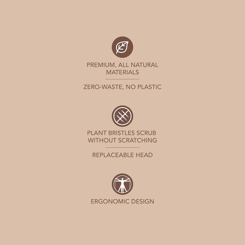 8.3 inches Murchison-Hume Compostable Dish Brush with Wooden Handle, Replaceable Scrubber Head, No Plastic Parts