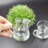 DGQ 4oz Classic Glass Creamer Pitcher with Handle, Pack of 2 Mini Milk Pourer for Coffee Tea Serving