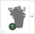 (4 Pack) 6" 3" 1 Live Aromatic and Edible Herbs - Assorted Varieties Per - Lemon Verbena, Eucalyptus, Mint, Lavender