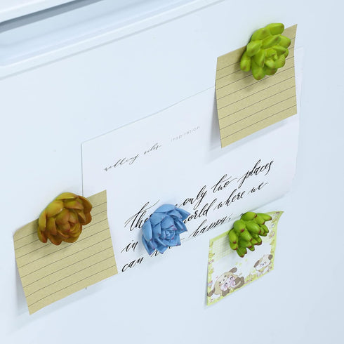 Plant Pattern 3D Resin Succulent Fridge Magnets, Set of 8 White Board Magnets for Home Office Display