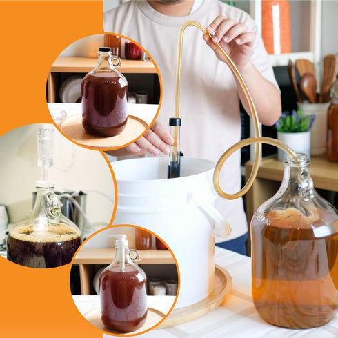 FastRack 1 Gallon Glass Jug with #6 Rubber Bungs & Twin Bubble Airlock – Clear Glass Fermenter Containers for Home