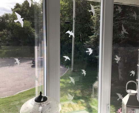 Anti-Collision Window Bird Stickers Decals, Protect Glass Door and Save Birds from Strikes (Transparent-36 Pcs)