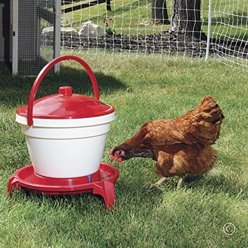 1 3 Premier Quick Clean Poultry Waterer for Chickens & Poultry - Gallon