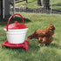 1 3 Premier Quick Clean Poultry Waterer for Chickens & Poultry - Gallon