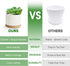 ZOUTOG Mini Succulent Pots, White 3.15 inch Ceramic Flower Planter Pot with Bamboo Tray, Pack of 6 - Plants Not Included