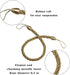 BEL AVENIR Curtain Tiebacks, Handmade Holdbacks with 2 Metal Screw Hooks - Golden (2 Pack)