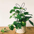 2Pack Indoor Plant Trellis Metal Wire Garden Trellis Small Climbing Leaf Shape Trellis for Garden Potted Plant