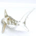 Shark Miniature Figurines - Tiny Hand Painted Blown Glass Art Collectible Gift Decor (Clear Silver)