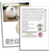 White Sweet Spanish Onion Seeds - 500+ Non-GMO Heirloom Seeds by Isla’s Garden, Ideal for Slicing & Cooking