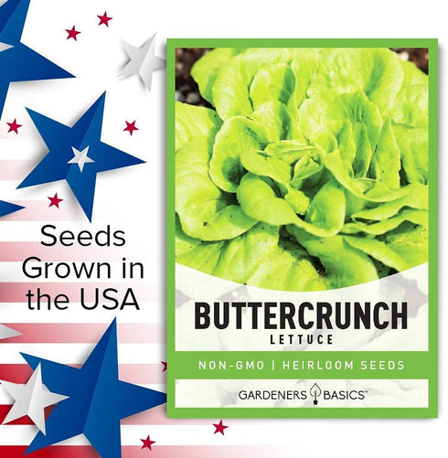2000+ 2 Summer, Gardeners Basics, Buttercrunch Lettuce Seeds for Planting - Butterhead Boston Bibb Heirloom, Non-GMO
