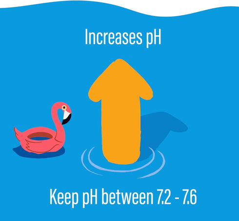 POOLIFE Swimming 5lb pH Plus for Pools & Spas - Professional Pool pH Balancer Raises pH & Alkalinity Fast - Prevents
