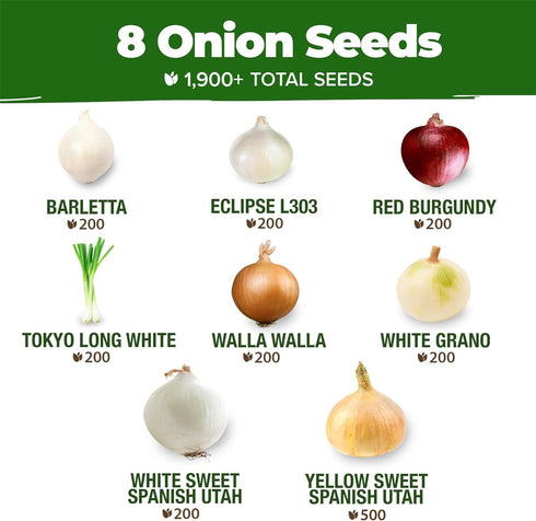 8 1600+ Bulb HOME GROWN Onion Variety Mix Heirloom Non-GMO Seeds for Planting, High Germination, Red, Yellow, White