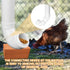 BOUTICOL 2 6.6 Automatic Chicken Feeder with Covers Duty PVC Pipe No Waste Chicken Coop Feeder Pounds Large Chicken