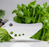 Herb Stripper, Premium Leaf Remover for Kale, Chard, and Collard Greens