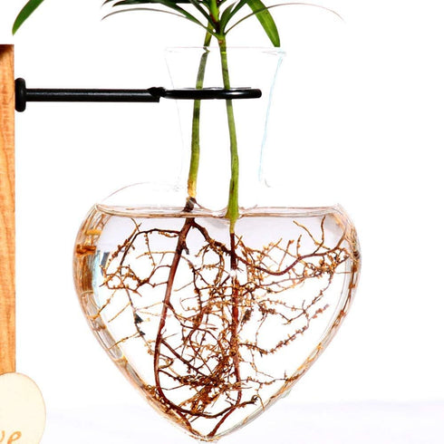 Bulb (D(1 Kingbuy Hydroponic Glass Vase Vintage Desktop Plant Terrarium Planter Vase Water Planting Propagation Vase