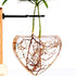 Bulb (D(1 Kingbuy Hydroponic Glass Vase Vintage Desktop Plant Terrarium Planter Vase Water Planting Propagation Vase