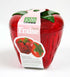 MSC International Jo!e Strawberry Keeper (1 X)