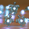 WSgift Sea Turtle Decorative String Lights, 18.7 Ft 40 LED USB Plug-in