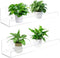 2 Pack Window Plant Shelves, 9 Inch Acrylic Suction Cup Shelf, Window