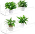 2 Pack Window Plant Shelves, 9 Inch Acrylic Suction Cup Shelf, Window