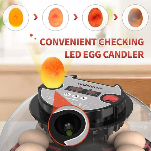 ShellBr8ker 12 Nest II - Egg Incubator for Beginners, Multi-Level Adaptive Humidity (Auto-Refill & Dual-Bottle)
